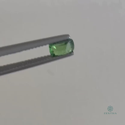 Tsavorite Garnet – 1.00 ct – Oval Faceted – Natural
